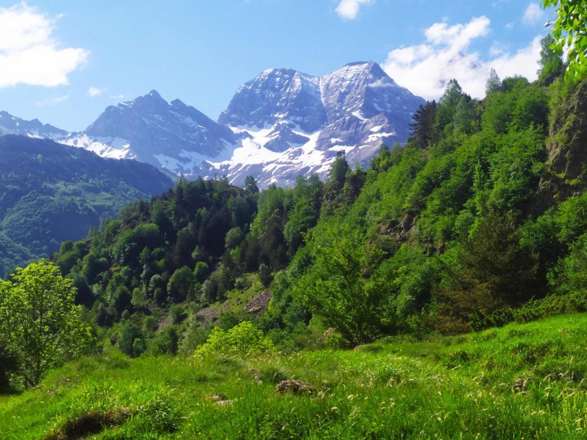 Апарт отель Chez Lolette Люс-Сен-Совёр Экстерьер фото